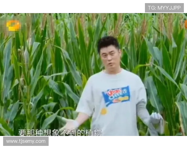 尖叫吧路人：陈赫的综艺魔法与笑声引爆指南